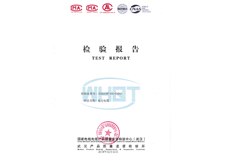 ZR一YJV-0.6/1 1x185