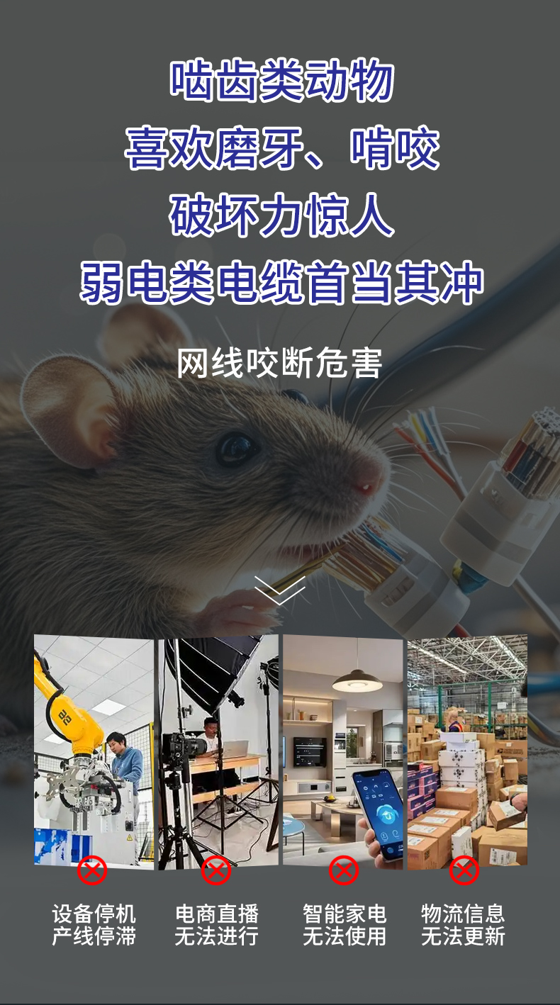 安普室外六类铠甲屏蔽网线防老鼠咬可地埋铠装防水防晒户外网络线